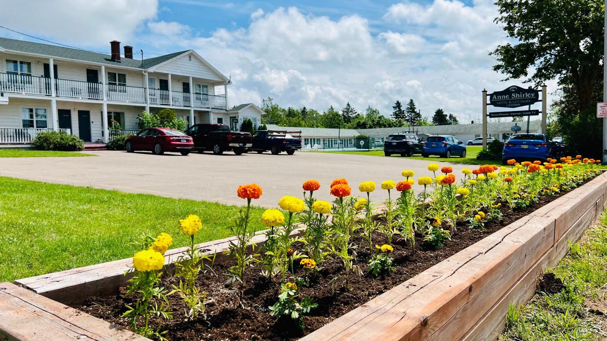 Anne Shirley Motel & Cottages Cavendish Luaran gambar
